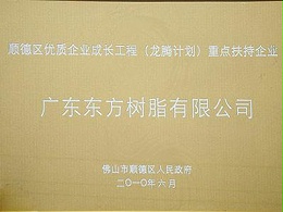 一哥荣获：2010年顺德龙腾计划重点企业