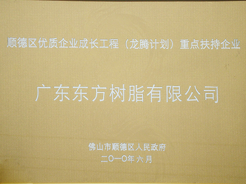 2010年顺德龙腾计划重点企业，喷胶厂家