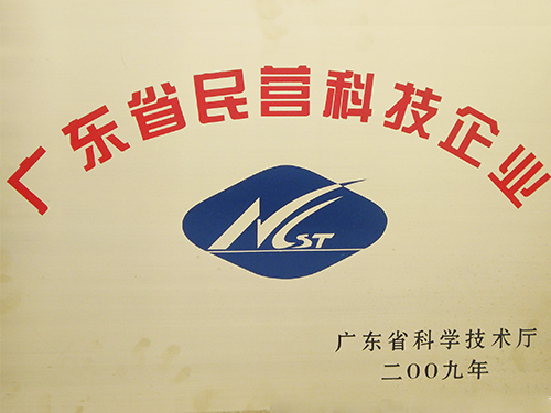 2009年广东省民营科技企业，喷胶企业